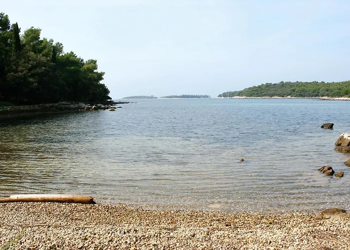 With Wifi - 9701 Apartamento Rovinj